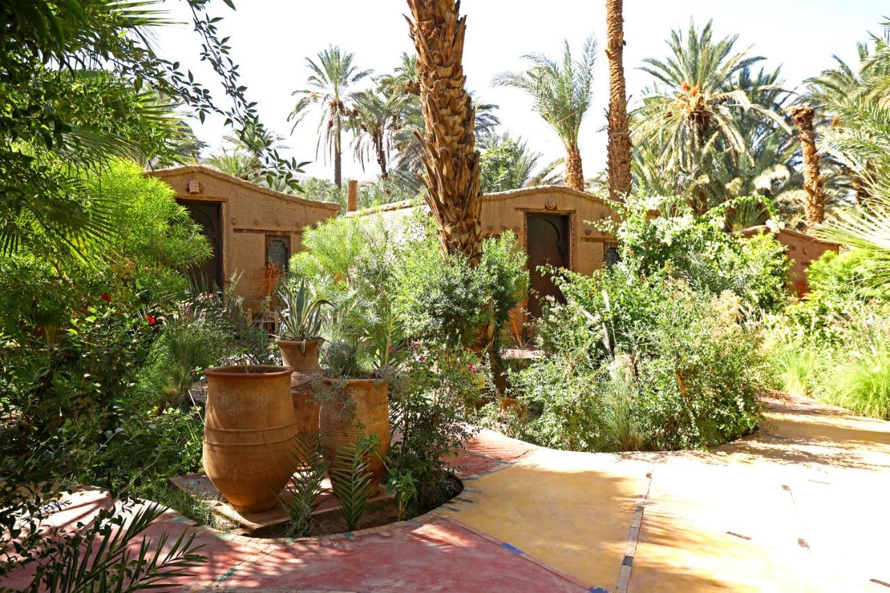 Ecolodge Bab El Oued Maroc Oasis Agdz Dış mekan fotoğraf