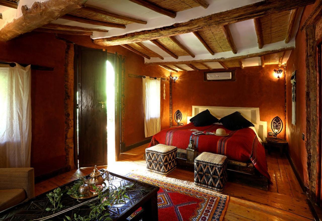 Ecolodge Bab El Oued Maroc Oasis Agdz Dış mekan fotoğraf