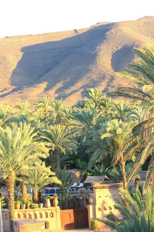 Ecolodge Bab El Oued Maroc Oasis Agdz Dış mekan fotoğraf