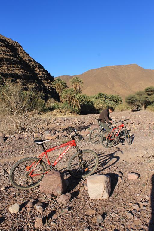 Ecolodge Bab El Oued Maroc Oasis Agdz Dış mekan fotoğraf