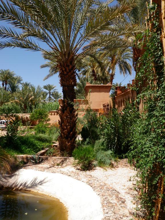 Ecolodge Bab El Oued Maroc Oasis Agdz Dış mekan fotoğraf