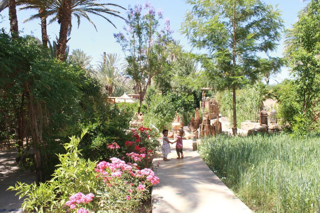 Ecolodge Bab El Oued Maroc Oasis Agdz Dış mekan fotoğraf