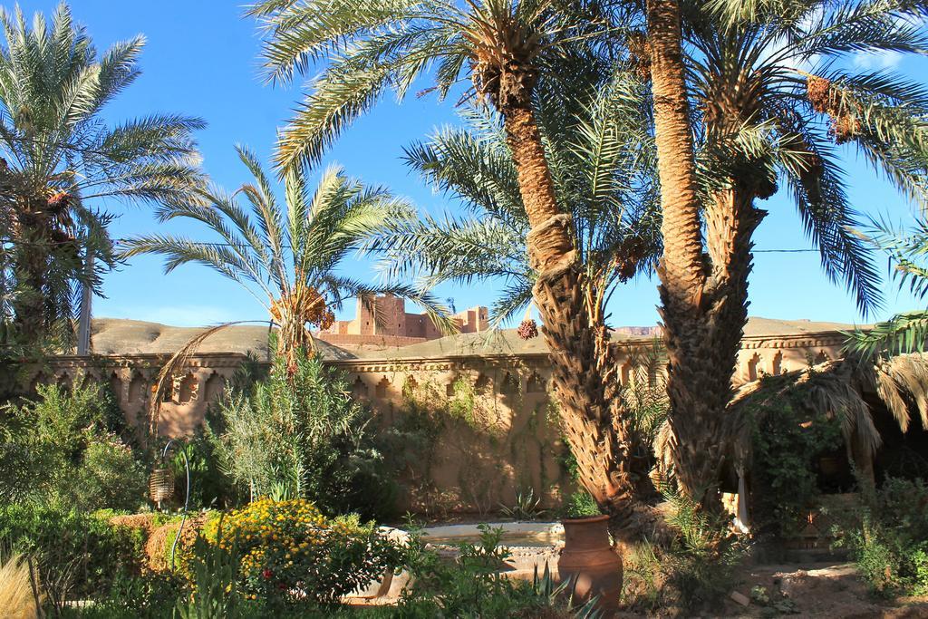 Ecolodge Bab El Oued Maroc Oasis Agdz Dış mekan fotoğraf