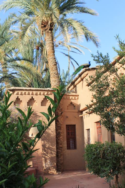 Ecolodge Bab El Oued Maroc Oasis Agdz Oda fotoğraf