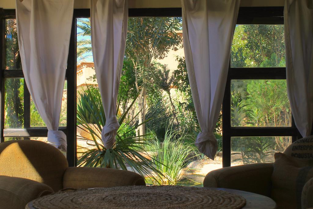 Ecolodge Bab El Oued Maroc Oasis Agdz Dış mekan fotoğraf