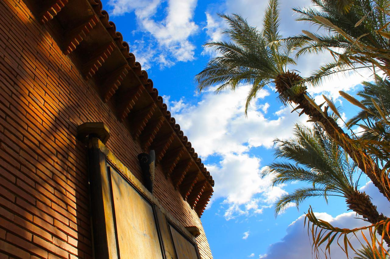 Ecolodge Bab El Oued Maroc Oasis Agdz Dış mekan fotoğraf