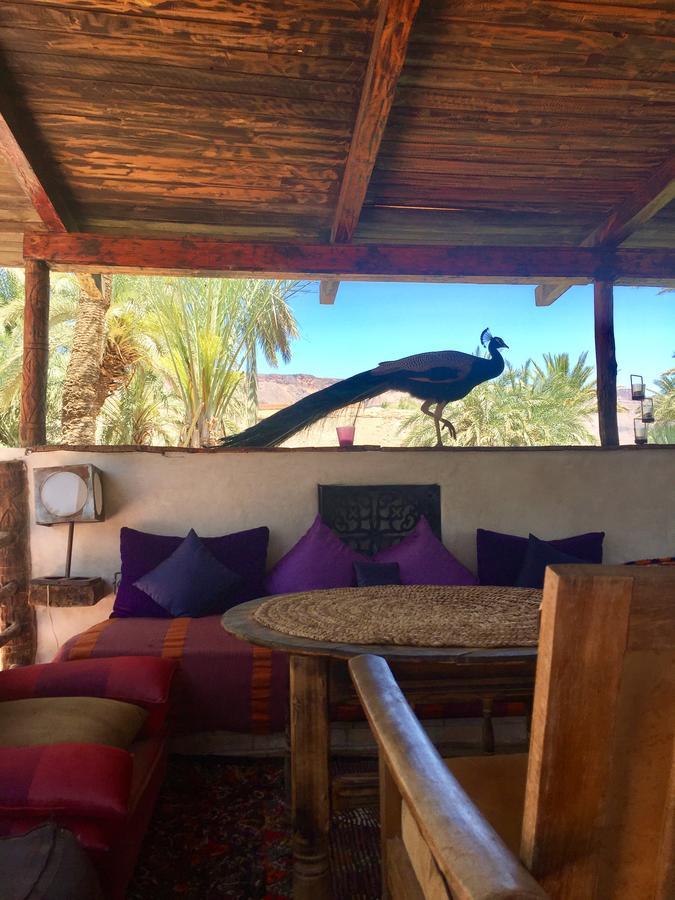 Ecolodge Bab El Oued Maroc Oasis Agdz Dış mekan fotoğraf