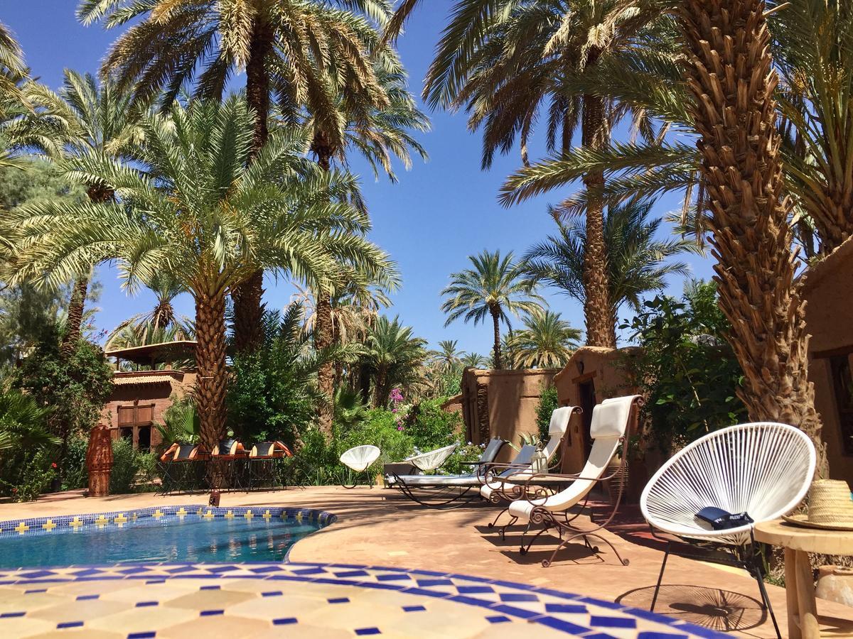 Ecolodge Bab El Oued Maroc Oasis Agdz Dış mekan fotoğraf
