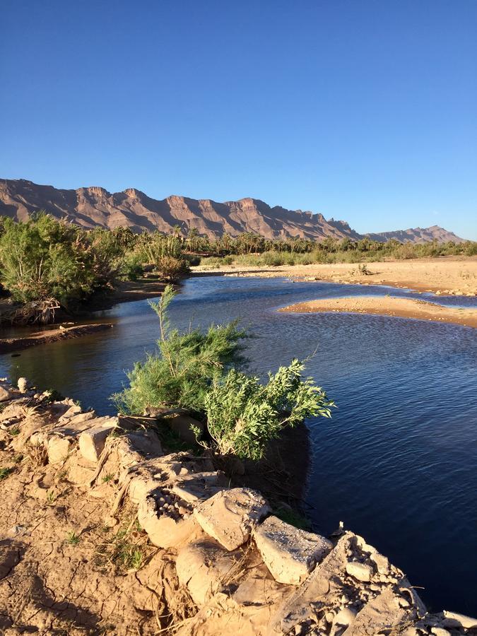 Ecolodge Bab El Oued Maroc Oasis Agdz Dış mekan fotoğraf