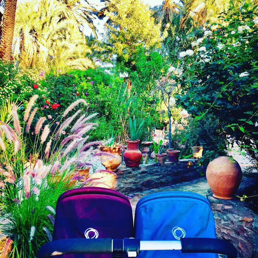 Ecolodge Bab El Oued Maroc Oasis Agdz Dış mekan fotoğraf