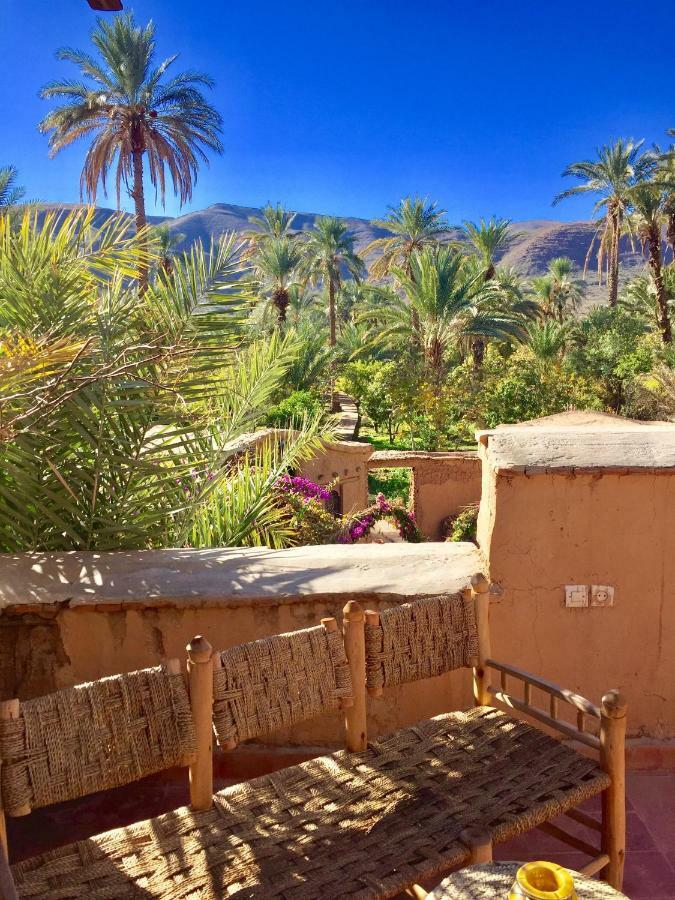 Ecolodge Bab El Oued Maroc Oasis Agdz Dış mekan fotoğraf
